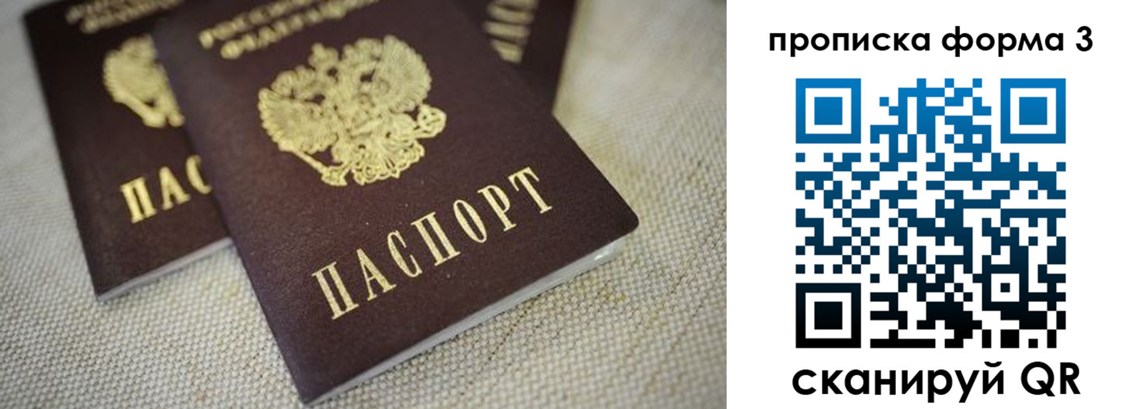 прописка поиск в Шуе